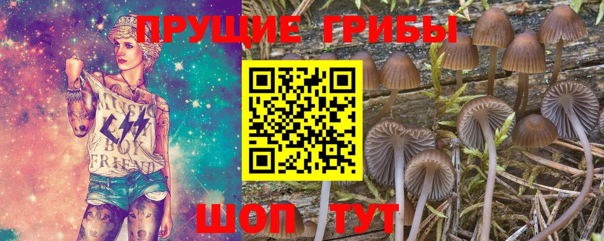 закладка  Псилоцибиновые грибы Magic Shrooms  Вход с VPN  Протвино 